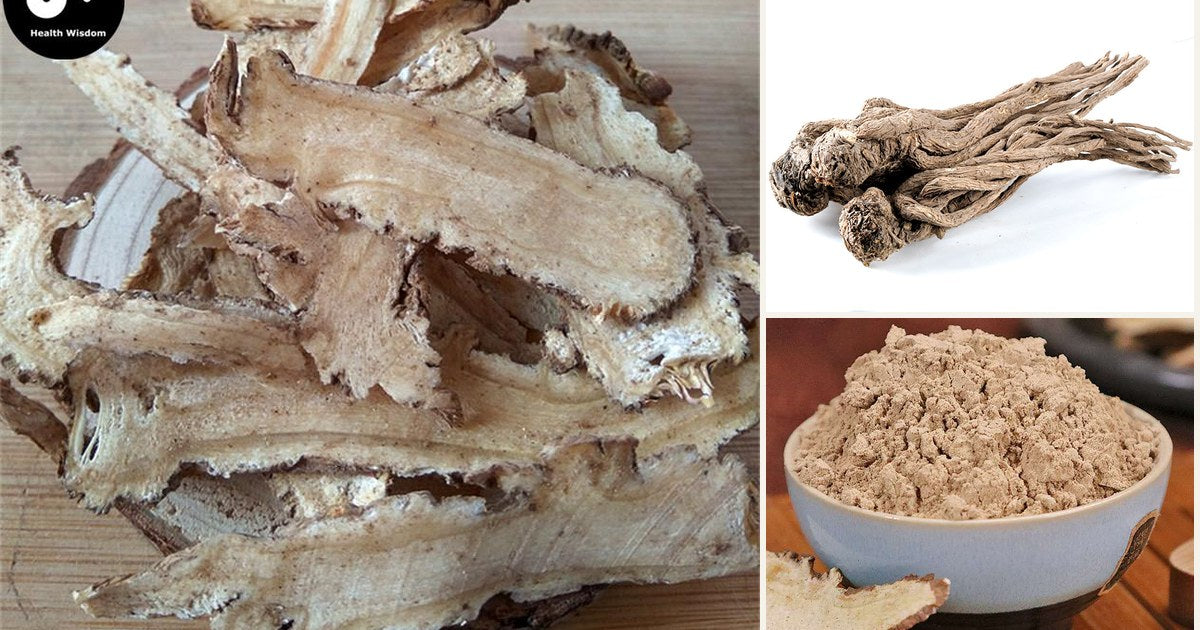Dried dang gui angelica root: whole roots, slices and powder