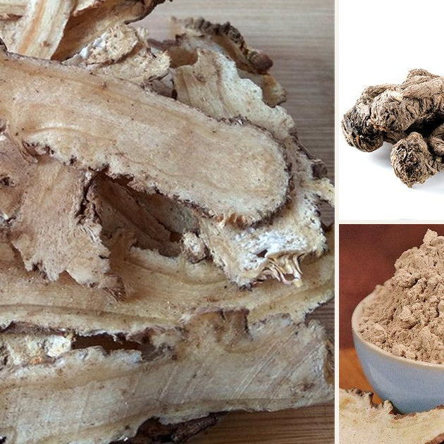 Dried dang gui angelica root: whole roots, slices and powder
