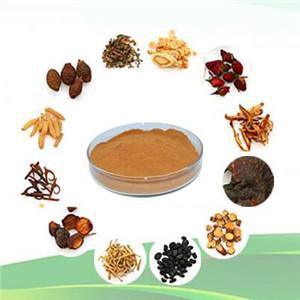 Plant Extract/提取物 - Health Wisdom™