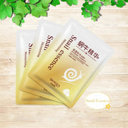 10pcs BIOAQUA Snail Essence Face Masks Moisturizing Anti-aging Tender and Smooth Whitening Facial Mask for Face Beauty Skin Care-Health Wisdom™