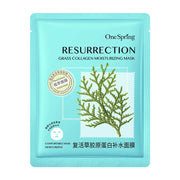 20 Pieces Natural Fruit Plant Facial Mask Sheets Moisturizing Oil-Control Blueberry Cucumber Pomegranate Fruit Aloe Face Mask-Health Wisdom™