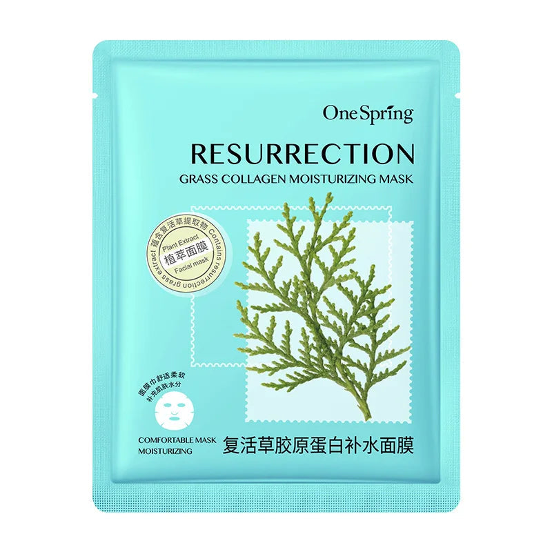 20 Pieces Natural Fruit Plant Facial Mask Sheets Moisturizing Oil-Control Blueberry Cucumber Pomegranate Fruit Aloe Face Mask-Health Wisdom™