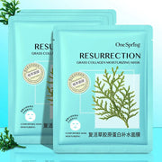 20Pcs Face Mask Combination Camellia Nicotinamide Facial Mask Moisturizing Oil Control Shrink Pores Anti Aging Skin Care Sets-Health Wisdom™