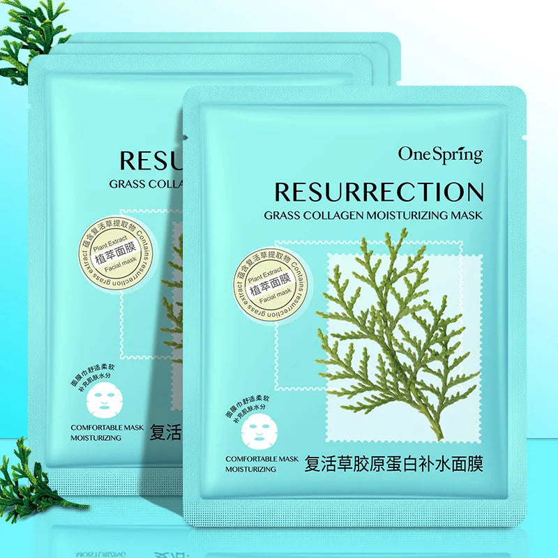 20Pcs Face Mask Combination Camellia Nicotinamide Facial Mask Moisturizing Oil Control Shrink Pores Anti Aging Skin Care Sets-Health Wisdom™
