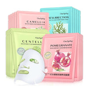 20Pcs Face Mask Combination Camellia Nicotinamide Facial Mask Moisturizing Oil Control Shrink Pores Anti Aging Skin Care Sets-Health Wisdom™