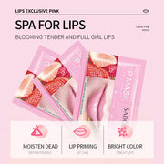 20Pcs Fruit Moisturizing Collagen Lip Mask Hydrating Repair Lips Care Moisturizer Lips Plump Gel Skincare Smoothing Lip Patches-Health Wisdom™