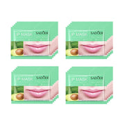 20Pcs Fruit Moisturizing Collagen Lip Mask Hydrating Repair Lips Care Moisturizer Lips Plump Gel Skincare Smoothing Lip Patches-Health Wisdom™