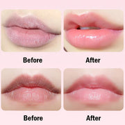2pcs/Set Plant Lip Mask Sets Moisturizing Nourishing Brightening Anti Wrinkle Lips Masks Skin Care Products for Beauty-Health Wisdom™
