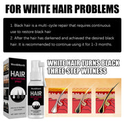 30ml Hair Darkening Spray Anti White Hair Herbal Hair Care Serum Blacken Hair Reduce Gray Hair Scalp Nourish Glitter Hair Spray-Health Wisdom™