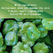 30pcs Centella Collagen Sleeping Facial Masks skincare Anti Wrinkle Anti-aging Moisturizing Face Mask Korean Skin Care Products-Health Wisdom™