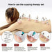 32 Cupping Therapy Set Vacuum Cupping Cup Body Massager Suction Cups Chinese Herbal Physiotherapy Vacuum Cups Heathy Care