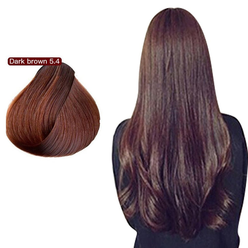 500ml Essence Black Hair Dye Shampoo Covering Hair Permanent Hair Color Dye Shampoo Natural Argan Oil Essence Instant-Health Wisdom™