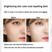 60 Pieces Niacinamide Moisturizing Essence Anti Wrinkle Pore Minimizer Skincare Acne Treatment Anti-Aging Oil-control Face Serum-Health Wisdom™