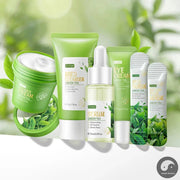 6pcs Green Tea Skin Care Sets Facial Cleanser Face Cream Serum Toner Sleeping Mud Masks Moisturizing Anti-Aging Face Care Kit-Health Wisdom™