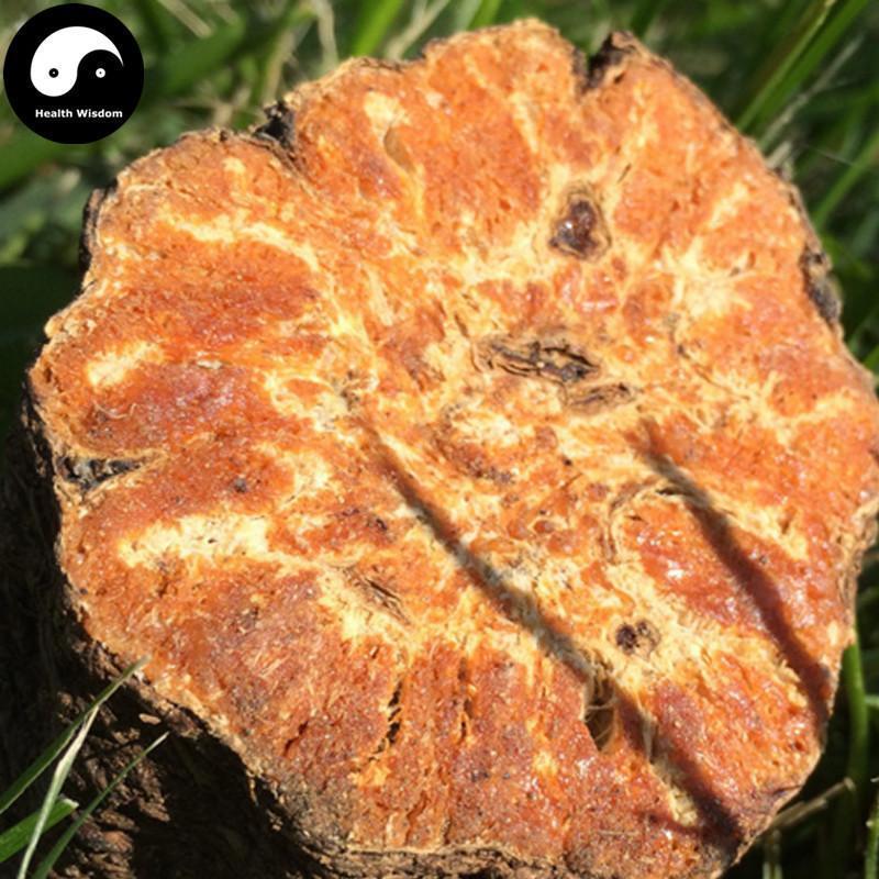 A Wei Root 阿魏根, Devil's Herb, Chinese Asafoetida, Ferulae-Health Wisdom™
