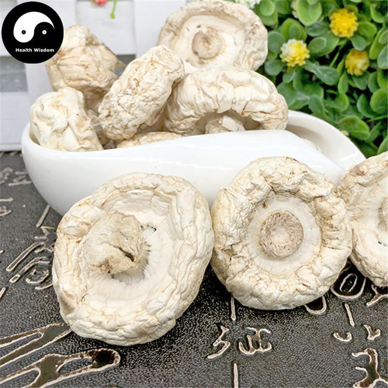 Agaricus Bisporus, Common Mushroom, Kou Mo 口蘑-Health Wisdom™