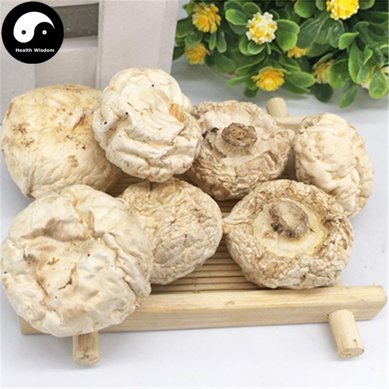 Agaricus Bisporus, Common Mushroom, Kou Mo 口蘑-Health Wisdom™