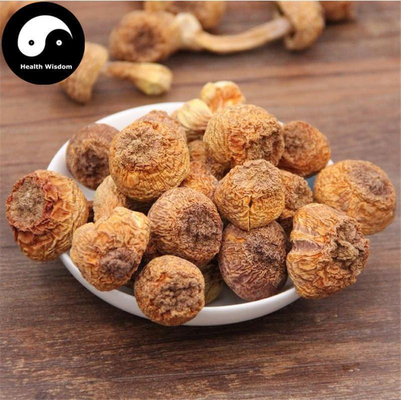 Agaricus Blazei Mushroom, Agaricus Brasiliensis, Himematsutake, Ji Song Rong 姫松茸-Health Wisdom™
