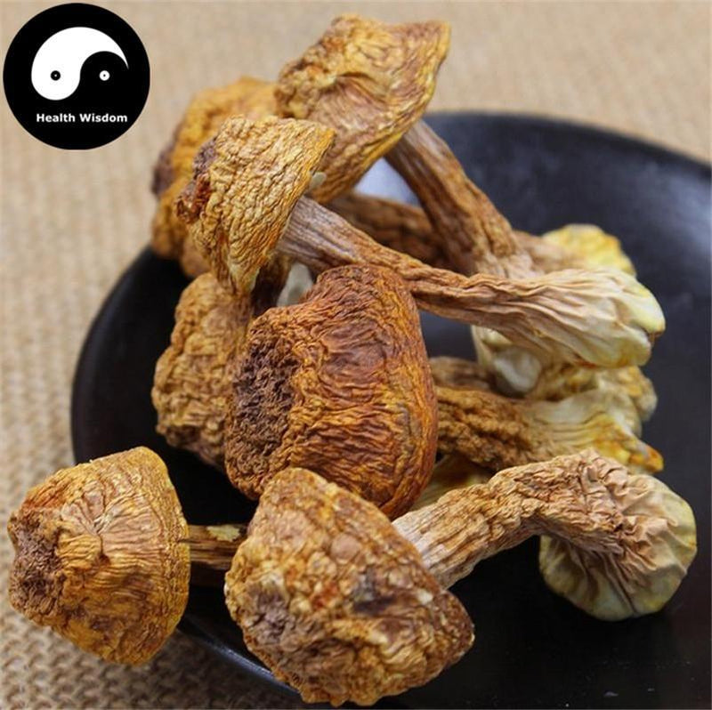 Agaricus Blazei Mushroom Powder, Agaricus Brasiliensis, Himematsutake, Ji Song Rong 姫松茸-Health Wisdom™