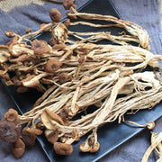 Agrocybe Aegerita, Yanagimatsutake, Chestnut Mushroom, Cha Shu Gu 茶树菇-Health Wisdom™
