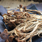 Agrocybe Aegerita, Yanagimatsutake, Chestnut Mushroom, Cha Shu Gu 茶树菇-Health Wisdom™