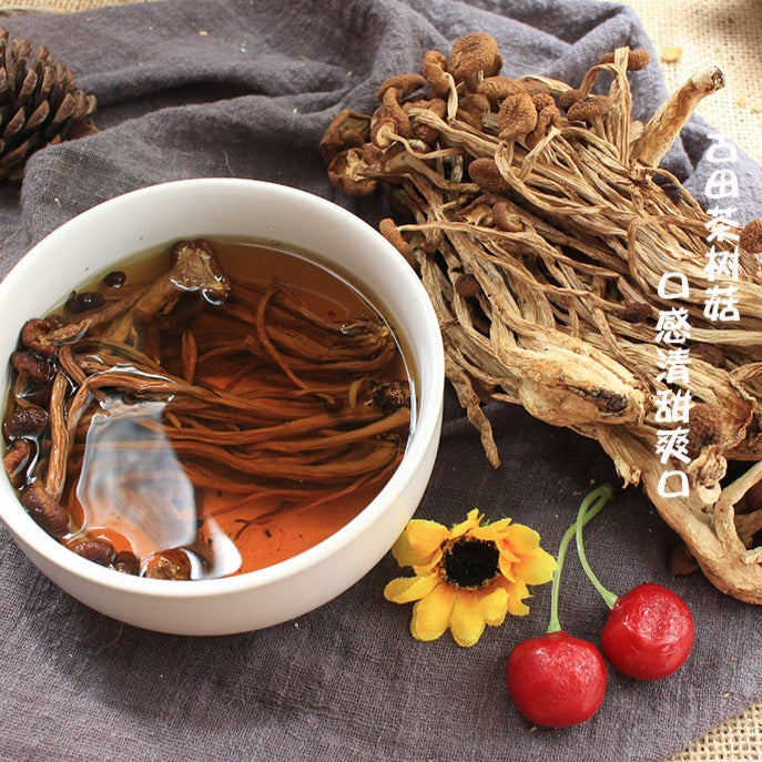 Agrocybe Aegerita, Yanagimatsutake, Chestnut Mushroom, Cha Shu Gu 茶树菇-Health Wisdom™