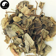 Ai Di Cha 矮地茶, Herba Ardisiae Japonicae, Japanese Ardisia Herb, Ping Di Mu-Health Wisdom™