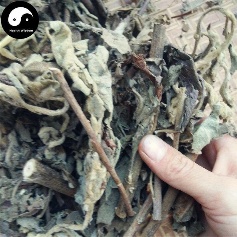 Ai Na Xiang 艾納香, Balsamiferou Blumea Herb, Herba Blumeae Balsamiferae, Da Feng Ai-Health Wisdom™