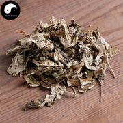 Ai Ye 艾葉, Folium Artemisiae Argyi, Argy Wormwood Leaf-Health Wisdom™