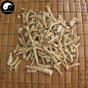 American Ginseng End Roots, Panax Quinquefolius Roots, Hua Qi Shen 花旗参-Health Wisdom™