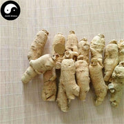 American Ginseng Roots, Premium Panax Quinquefolius Roots, Hua Qi Shen 花旗参-Health Wisdom™