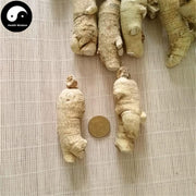 American Ginseng Roots, Premium Panax Quinquefolius Roots, Hua Qi Shen 花旗参-Health Wisdom™