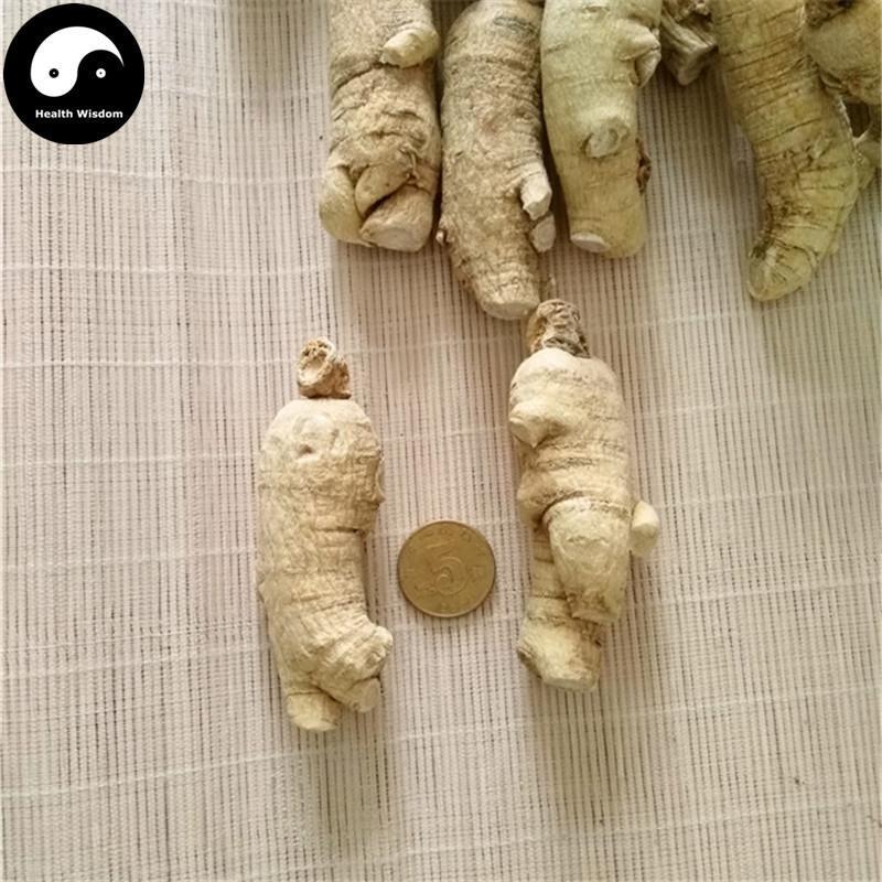 American Ginseng Roots, Premium Panax Quinquefolius Roots, Hua Qi Shen 花旗参-Health Wisdom™