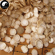 American Ginseng Roots Slice, Panax Quinquefolius, Hua Qi Shen Pian 花旗参片-Health Wisdom™