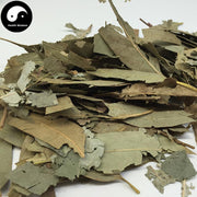 An Ye 桉葉, Folium Eucalypti, Eucalyptus Robusta Leaf-Health Wisdom™