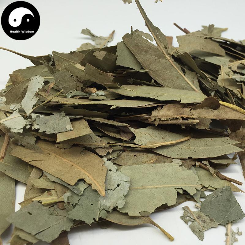 An Ye 桉葉, Folium Eucalypti, Eucalyptus Robusta Leaf-Health Wisdom™