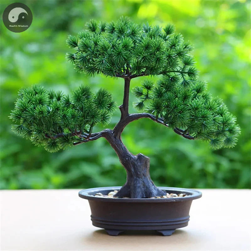 Artificial Flower Bonsai Green Plant Zen Simulated Tree Pine Potted Flower Pot Desktop Decoration Fengshui Decor Plant Viewing-Health Wisdom™