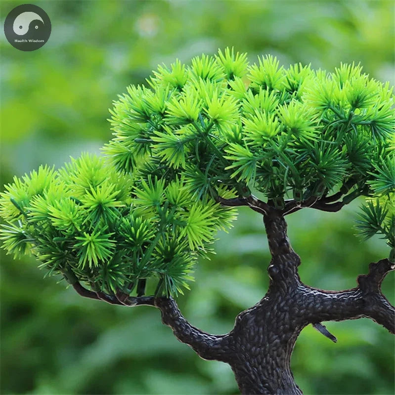 Artificial Flower Bonsai Green Plant Zen Simulated Tree Pine Potted Flower Pot Desktop Decoration Fengshui Decor Plant Viewing-Health Wisdom™