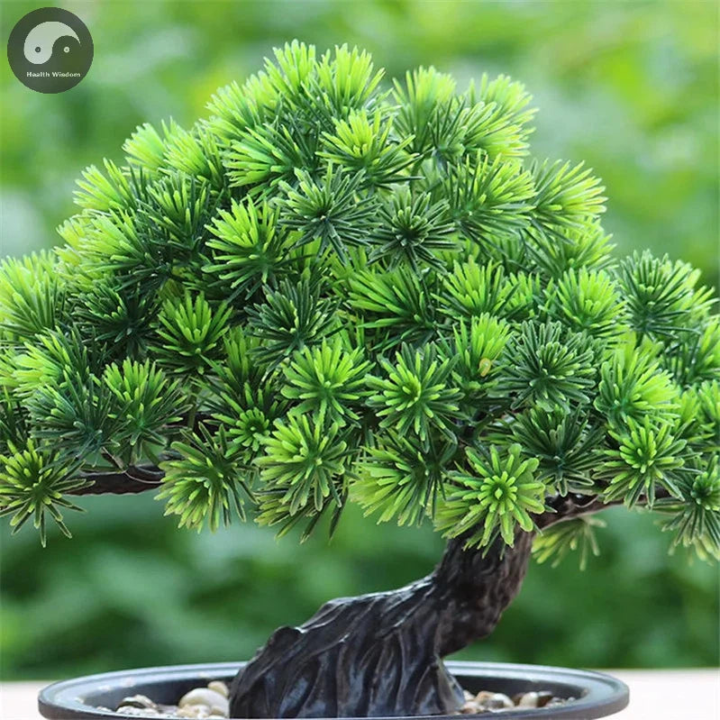 Artificial Flower Bonsai Green Plant Zen Simulated Tree Pine Potted Flower Pot Desktop Decoration Fengshui Decor Plant Viewing-Health Wisdom™