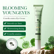 BIOAQUA Centella Eye Cream Anti Dark Circles Eyes Bags Moisturizing Anti Wrinkle Anti-aging Beauty Eyes Skin Care Products-Health Wisdom™