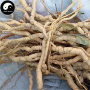 Ba Ji Tian 巴戟天, Morinda Root, Radix Morindae Officinalis, Indianmulberry Root-Health Wisdom™