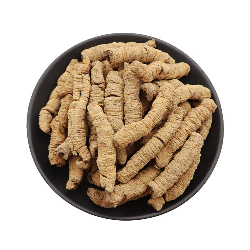Ba Ji Tian 巴戟天, Morinda Root, Radix Morindae Officinalis, Indianmulberry Root-Health Wisdom™