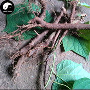Ba Jiao Feng Gen 八角楓根, Chinese Alangium Root, Radix Alangii, Bai Long Xu-Health Wisdom™