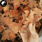 Ba Qi 菝契, Chinaroot Greenbier Rhizome, Rhizoma Smilacis Chinensis, Jin Gang Teng-Health Wisdom™