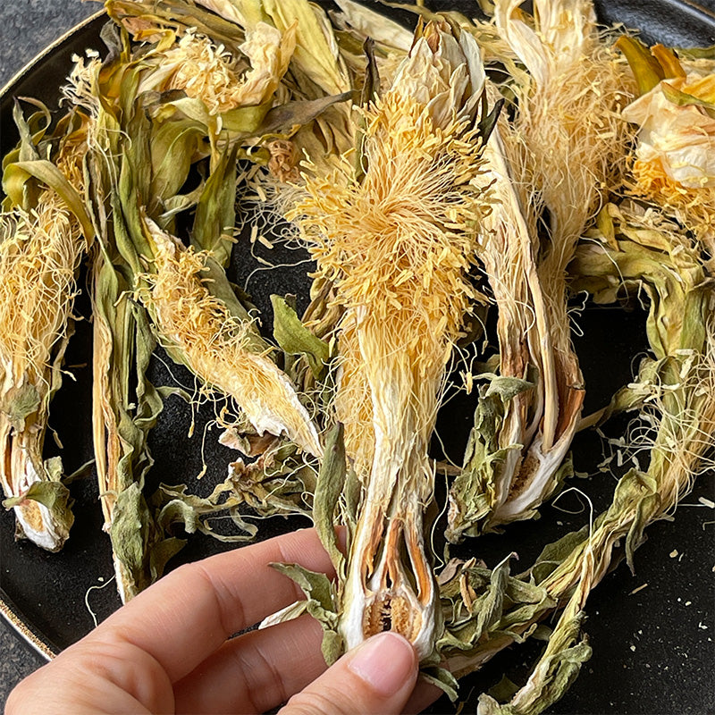 Ba Wang Hua 霸王花, Dried Hylerereus Undatus Flower, FIos Hylerereus Undatus, Huo Long Guo Hua 火龙果花-Health Wisdom™