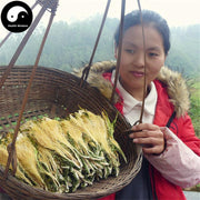 Ba Wang Hua 霸王花, Dried Hylerereus Undatus Flower, FIos Hylerereus Undatus, Huo Long Guo Hua 火龙果花-Health Wisdom™