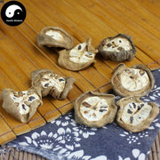 Ba Yue Zha 八月札, Fruit of Fiverleaf Akebia, Akebia Fruit, Fructus Akebiae-Health Wisdom™