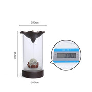 Backflow Incense Burner Plastic Cover Indoor Windproof Personality Creatives Home Decor Office Teahouse Ornament Without Incense-Health Wisdom™