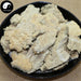 Bai Ba Chi Jun 白耙齿菌, White Tine Bacteria, Herbal Fungus