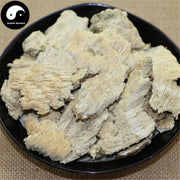 Bai Ba Chi Jun 白耙齿菌, White Tine Bacteria, Medicinal Fungus-Health Wisdom™